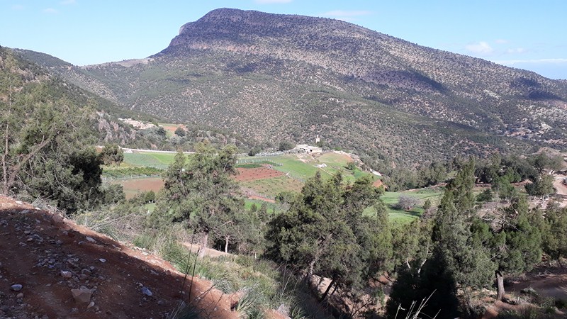          جبل   ثامجوط   